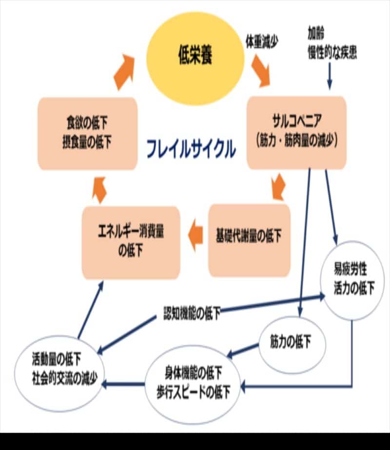 公益財団法人長寿科学振興財団 ご長寿ネットで公開されているフレイルになっていく流れの説明の図