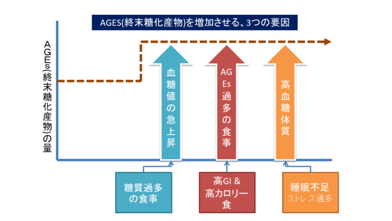 AGEsを増やす要因が、1.血糖値の急上昇、2.AGEs過多の食事の摂取、3.睡眠不足、ストレス過多による高血糖体質の3つあることを説明した図。