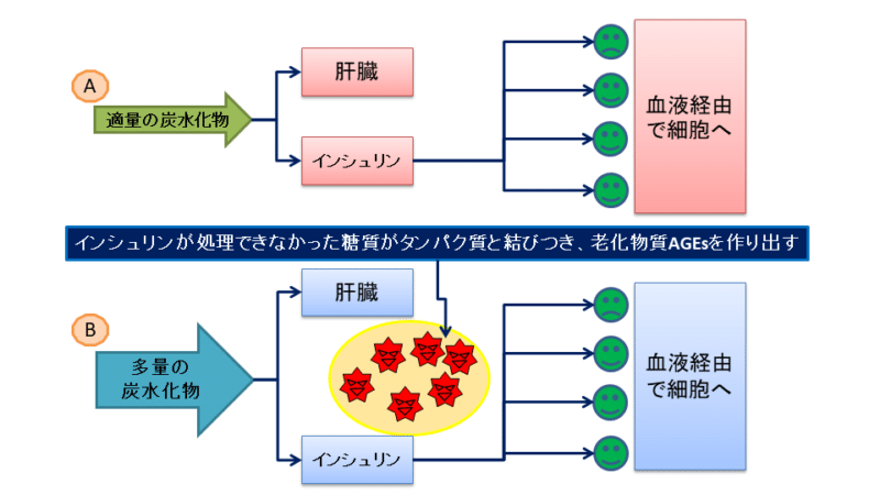 多量の炭水化物(糖質)を摂取することでインシュリンの処理処理が間に合わず、多くの老化物質AGEsの発生の原因となることを説明した図。