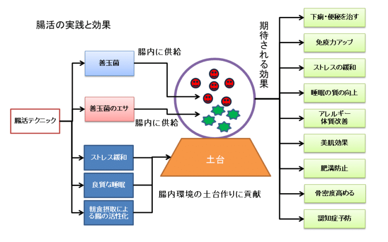 腸活を実践することで善玉菌が増え、様々な健康効果を生むことを表した図